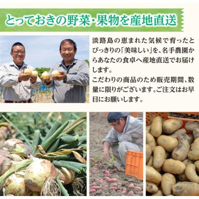 ふるさと納税 淡路市 名手農園の淡路島特産玉ねぎ 5kg