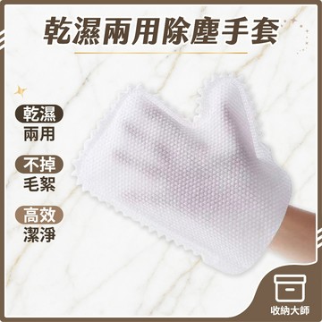 台灣現貨 乾濕兩用除塵手套 手套抹布 清潔手套 打掃抹布 免洗手套抹布 懶人抹布手套 除塵手套 縫隙清潔手套 收納大師