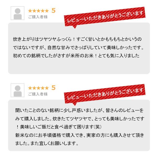 新米 5kg 新潟産こしいぶき お米 5キロ 令和5年産 精米 白米