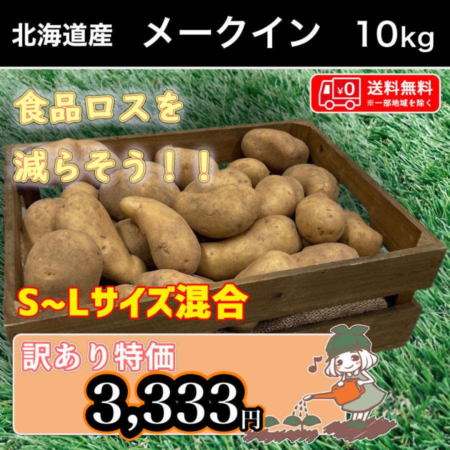 送料無料 北海道産 メークイン 訳あり 食品ロス S〜Lサイズ混合 10kg  じゃがいも 馬鈴薯