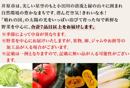 旬の農産物（野菜・果物など）詰合せ