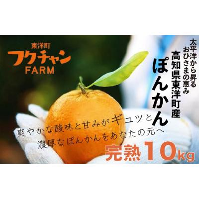 ふるさと納税 東洋町 高知県東洋町産　完熟ぽんかん10kg