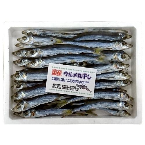 うるめ丸干 500g 国産 ウルメイワシ うるめいわし ウルメ丸干 干物