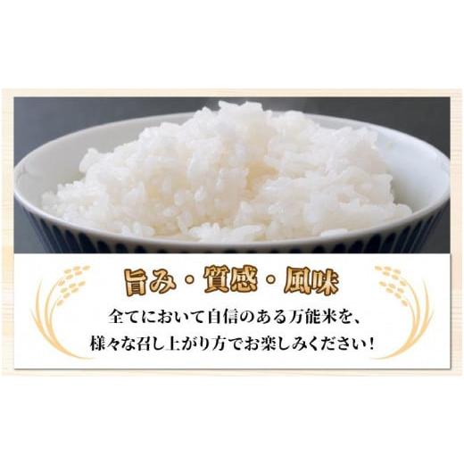 ふるさと納税 福井県 あわら市 令和5年産 ＜定期便3回＞ ハナエチゼン 精米 10kg×3回（30kg）《発送直前精米！》 ／ 福井県産 ブランド米 ご飯 白…