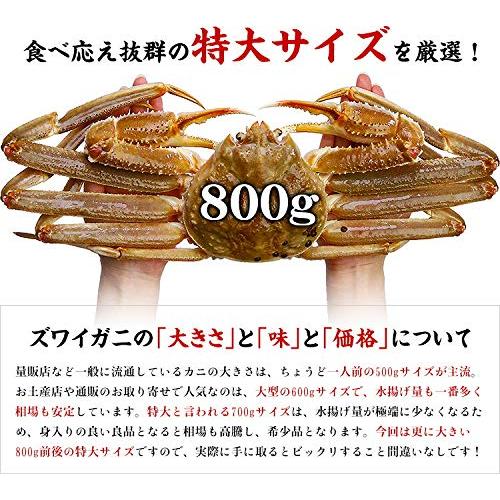 甲羅組 ズワイガニ カニ かに 蟹　特大サイズ 生ずわいがに姿 800g前後×2杯入 ギフト