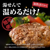 山形牛入り国産牛と山形県産豚手作りハンバーグ（約140g×10個）