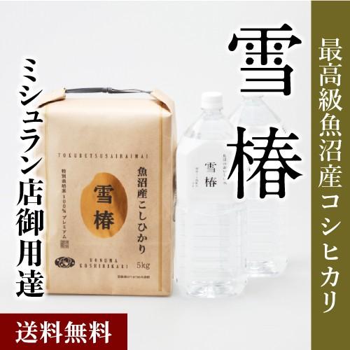 令和5年産 魚沼産コシヒカリ (最高級)「雪椿」 特別栽培米 5kg 雪椿水2L×2本 魚沼産こしひかり 贈答用 ブランド米 ギフト 内祝い 送料無料 プレゼント