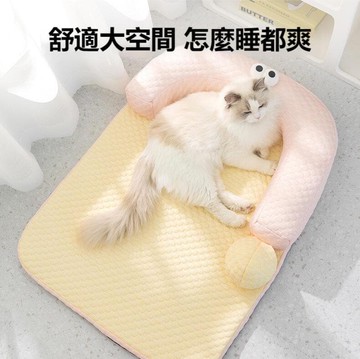 【雲渡小鋪】夏季大眼怪獸 涼感靠墊 墊子 寵物 涼墊 春 夏天 透氣 貓咪睡覺用品