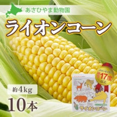 令和6年8月より発送「あさひやま動物園ライオンコーン」4kg　旭山動物園監修の化粧箱入り