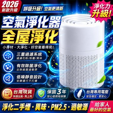限時下殺 空氣凈化器 淨化器 負離子淨化器 家用除甲醛 清新消毒器 除煙味 車用空氣淨化器 負離子 除二手煙 空氣清新機