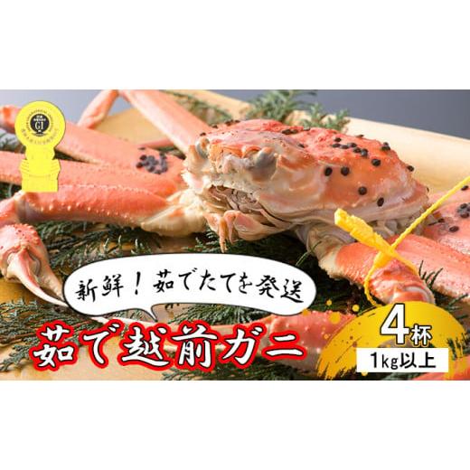 ふるさと納税 福井県 若狭町 茹で越前ガニ食通もうなる本場の味をぜひ、ご堪能ください。1kg以上×4杯　越前がに 越前かに 越前カニ ずわいがに …