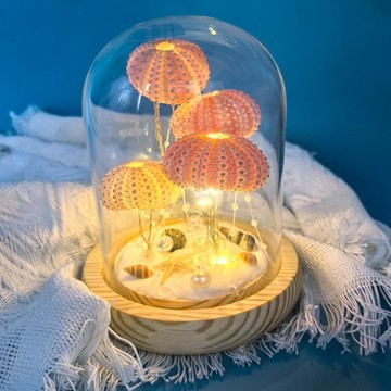 ✨臺灣出貨✨DIY海膽小夜燈海螺貝殼手工材料女生生日禮物臥室裝飾品擺件ins風