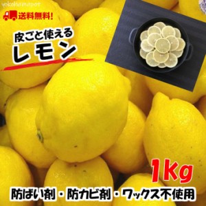 皮ごと使える（防ばい剤不使用 輸入レモン 3kg サイズ込 約20～33個　クール 便）防腐剤・ワックス不使用 レモン サイズ込　青果　送料無