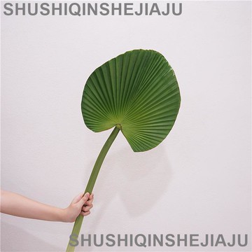 滿280元出貨 仿真花 假花 可開發票 北歐仿真綠植葉子軟膠扇葵葉龜背葉軟裝插花配材花藝造景裝飾植物