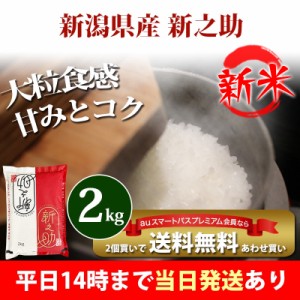 新米 米 2kg 新潟県産 新之助 しんのすけ 1等米 令和5年産 お米 2kg プレミアム特典 あわせ買い 送料無料 北海道・沖縄配送不可 即日発送