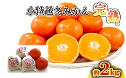 みかん 小粒 小玉 越冬完熟みかん 蜜柑 約 2kg 完熟 小粒 小原紅早生 みかん 国産 さぬき市 ミカン 果物 フルーツ 旬 