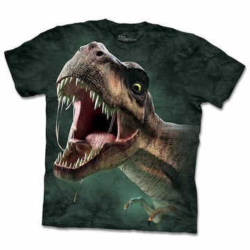 『摩達客』(現貨) 美國進口【The Mountain】自然純棉系列 暴龍吼 T恤