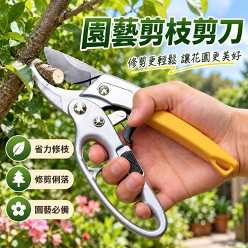 園藝剪枝剪刀 果樹修枝剪 花木修剪 樹枝剪 園林整理 省力修枝 家庭園藝 春秋修剪 園藝新手 果園修剪工具