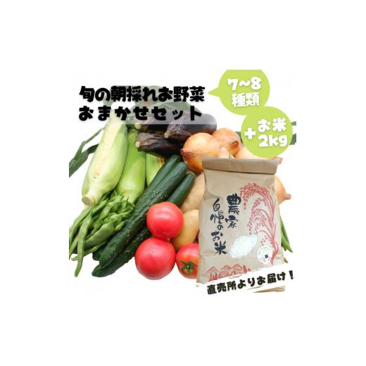 ふるさと納税 熊本県 甲佐町 旬のお野菜おまかせセット＆山出米2kg