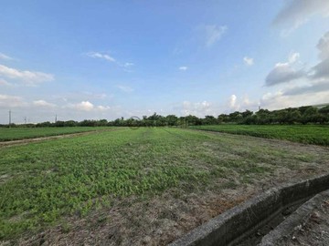 岡山聖森路旁農地置產休閒首選23827｜高雄市岡山區嘉新段