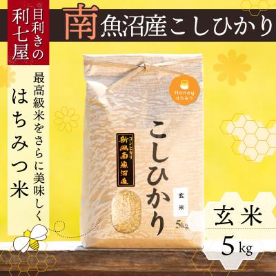 ふるさと納税 南魚沼市 南魚沼産コシヒカリ『はちみつ米』玄米5kg