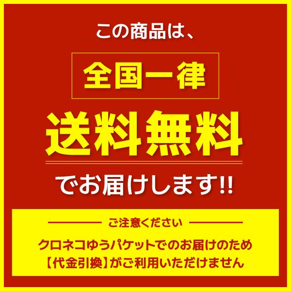 新米 ササニシキ 宮城県産 米 試し2合 お米 300g 令和5年産 宮城県産 白米 送料無料 精白米 クロネコゆうパケット