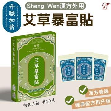 【Sheng Wen梁時】艾草暴富貼3入盒裝(升職加薪) | 一條根精油貼布 貼布 精油貼