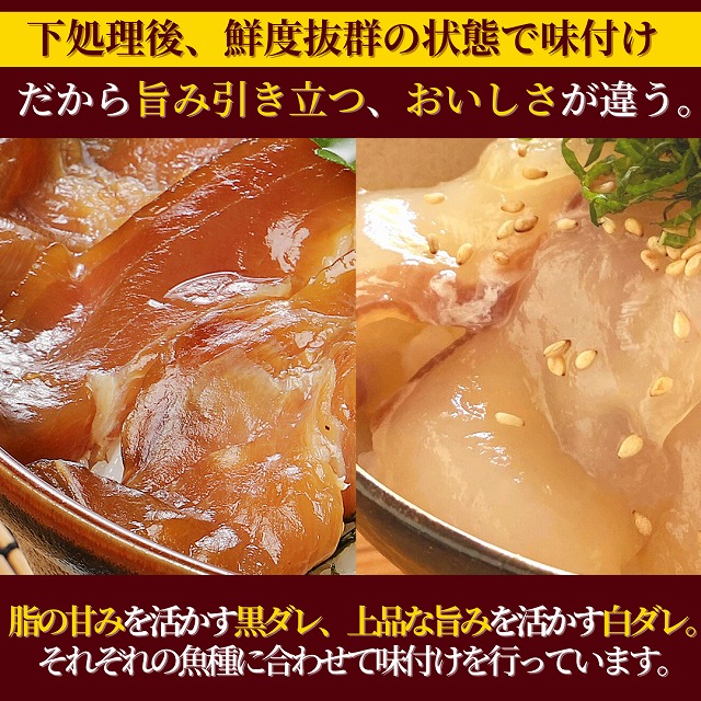 日向灘 お魚の漬け丼 バラエティ 5回 定期便　N019-ZD0117    請関水産