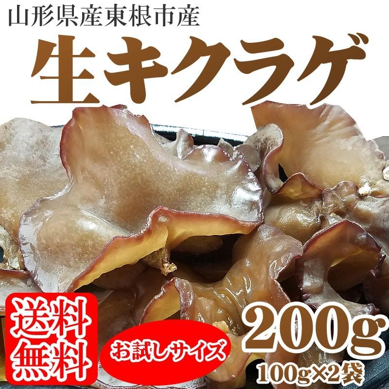 きくらげ２００ｇ]　山形県東根市産きくらげ200g【送料無料】[冷蔵便　LINEショッピング