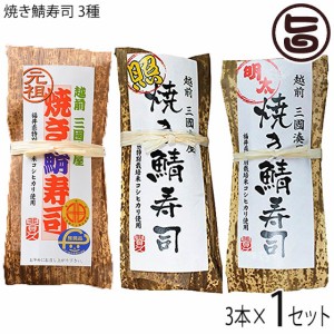 越前三國湊屋 元祖 焼き鯖寿司 竹皮包み 照り焼き鯖寿司 焼き鯖めんたい寿司 3本セット 福井 サバ 寿司