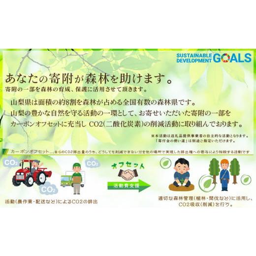 ふるさと納税 山梨県 甲州市 完熟桃食べ比べ 2kg以上×2回送り（HK）C1-442