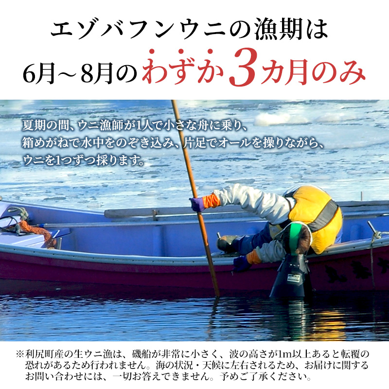 北海道 利尻島産 塩水生うに（バフンウニ）100g×3パック [2024年6月出荷開始先行受付] ウニ 塩水ウニ
