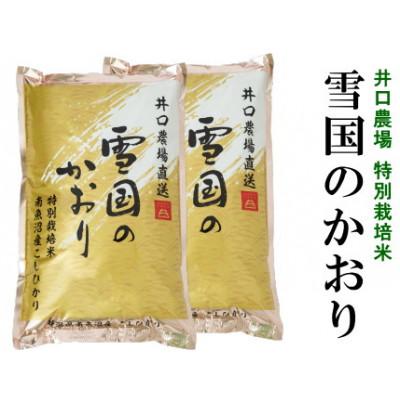 ふるさと納税 南魚沼市 南魚沼産コシヒカリ10kg 井口農場こだわりの 特別栽培米