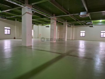 八德區◎和平路SRC獨棟鋼構廠辦｜桃園市八德區和平路