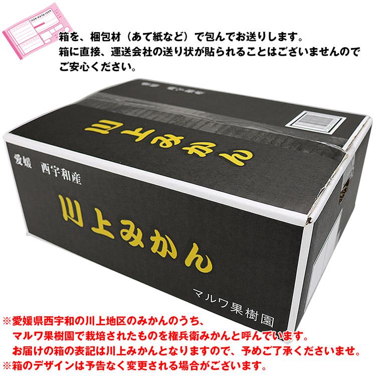 みかん 3kg 愛媛県産 秀品 権兵衛みかん 21〜39玉 S M Lサイズおまかせ マルワ果樹園 産地直送 蜜柑 ミカン フルーツ 果物 常温便 同梱不可 指定日不可