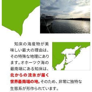 北海道羅臼産真ほっけ特大４００ｇサイズ