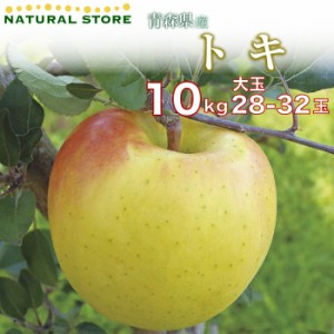 [予約 10月1日～初荷分より順次発送] トキりんご 28玉-32玉（大玉） 10kg 箱 りんご 青森県産 大玉 高糖度