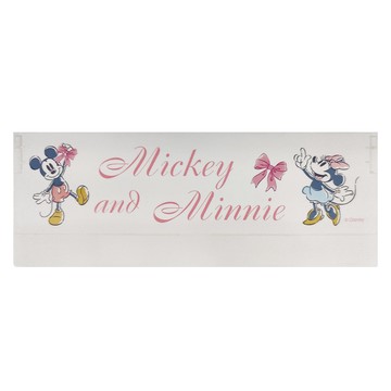 Disney 迪士尼 ChuChu系列 摺疊收納盒 BF160 大(25 x 9.5cm)  米奇米妮  1個