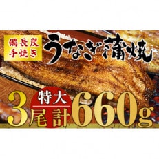 九州産　備長炭手焼　うなぎ蒲焼　3尾(660g)1745