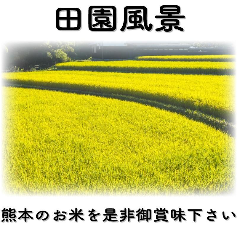 お米 米 5kg 白米 一等米使用 熊本県産 ひのひかり あすつく 新米 令和5年産 ヒノヒカリ 5kg1個 くまもとのお米 富田商店 とみた商店