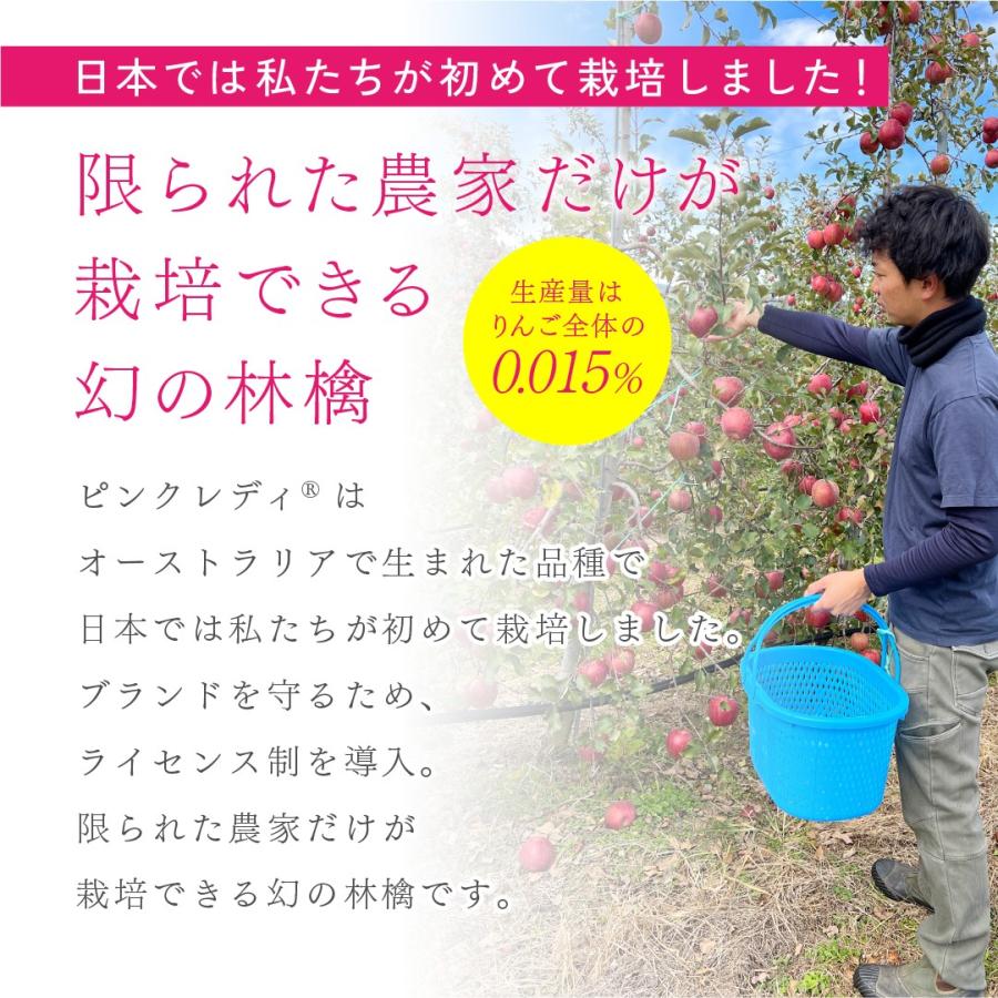 ピンクレディ 5kg 箱 訳あり 幻の林檎 減農薬 希少 りんご 長野 安曇野 信州 産地直送 酸っぱい 「ピンクレディ5キロ箱訳あり品」