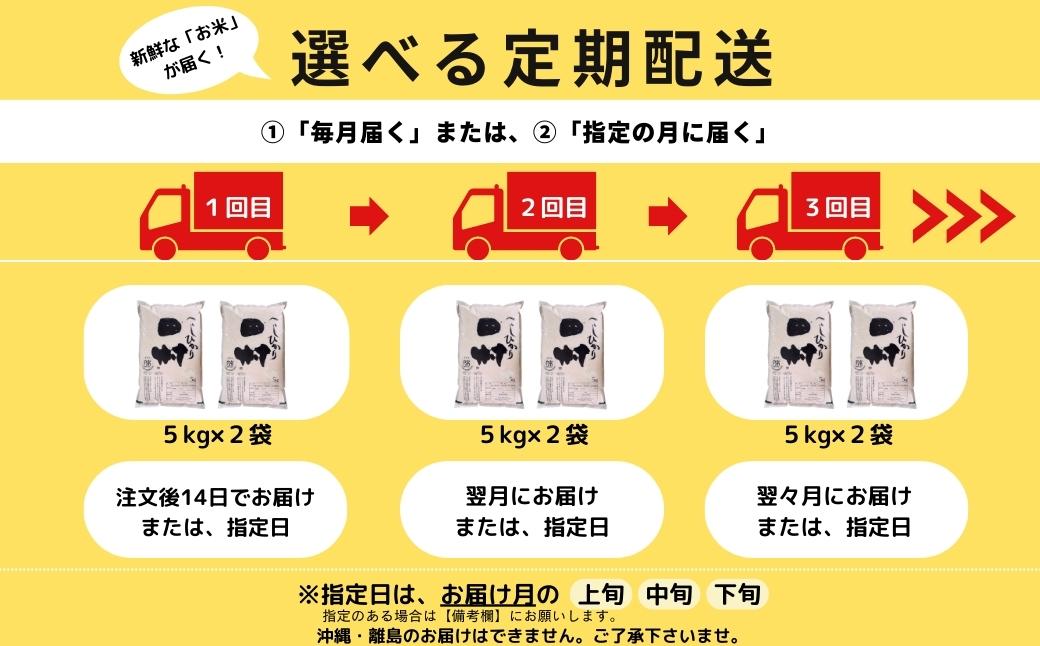   田村産 ＼定期便6回／ コシヒカリ 1俵 60kg 10kg ずつ 6回 配送ギフト 贅沢 のし対応 １週間以内発送 福島 ふくしま 田村 贈答 美味しい 米 kome コメ ご飯 ブランド米 精米したて お米マイスター 匠 食味鑑定士 安藤米穀店 T10-RM87-K10-6