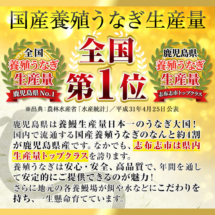 鹿児島県産うなぎ蒲焼 名水慈鰻 12尾(1尾約120g以上)＜計約1.6kg以上＞ f2-003