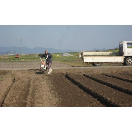 ふるさと納税 米 5kg 季節野菜 セット 精米 ゆめつくし 福岡県朝倉市