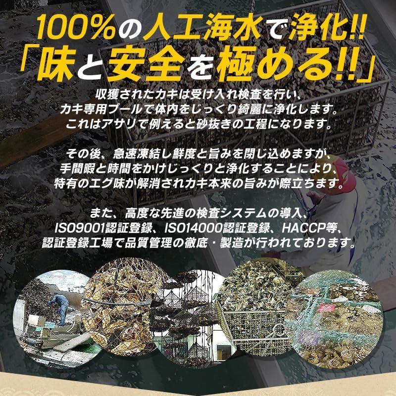 カキ かき 牡蠣 生食用 殻付き 12個 冷凍 兵庫県室津産 冷凍殻付き牡蠣