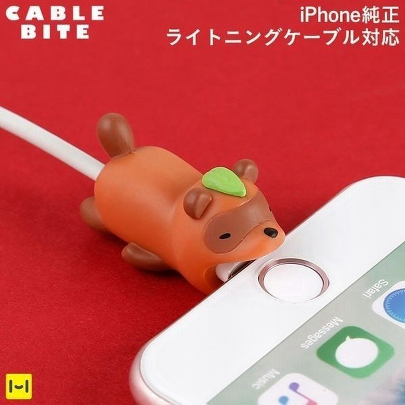 ケーブルバイト ケーブル保護 断線防止 ケーブルバイト 和 ジャパニーズスタイル タヌキ スマホグッズ アクセサリー 通販 Lineポイント最大0 5 Get Lineショッピング