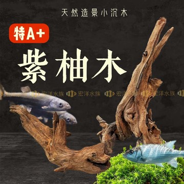 宏洋水族【天然造景沉木／特A+ 紫柚木】水族裝飾品 天然沉木 水族造景 沉木造景 杜鵑根 水族箱造景 沉木造景 水草造景