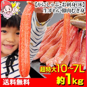 かに 蟹 ずわいがに 生ずわいがに ◆ 超特大10L～7L生ずわい脚肉むき身18本～28本(約1kg) ／ むき身 カット済み ポーション