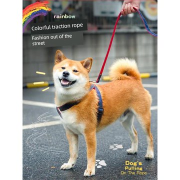 狗狗牽引繩狗鏈子遛狗繩項圈背帶幼犬小型中型犬泰迪柯基寵物用品