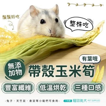 【台灣現貨】兔子零食 兔子果乾 天竺鼠零食 兔子點心 倉鼠零食 蔬菜乾 玉米筍 帶殼玉米筍乾 玉米筍乾